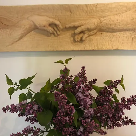 Szafran Z Widokiem Na Gory アパート