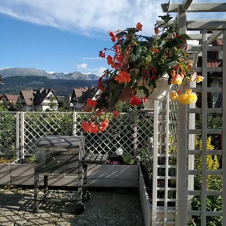 Szafran Z Widokiem Na Gory *