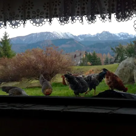 Szafran Z Widokiem Na Gory