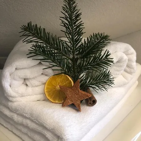 Szafran Z Widokiem Na Gory アパート *