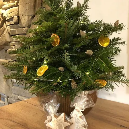 Szafran Z Widokiem Na Gory Apartment