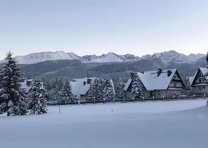Szafran Z Widokiem Na Gory Zakopane