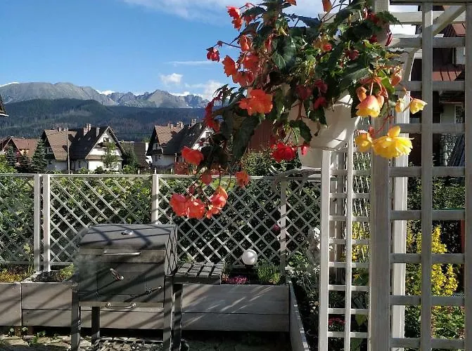 Szafran Z Widokiem Na Gory *