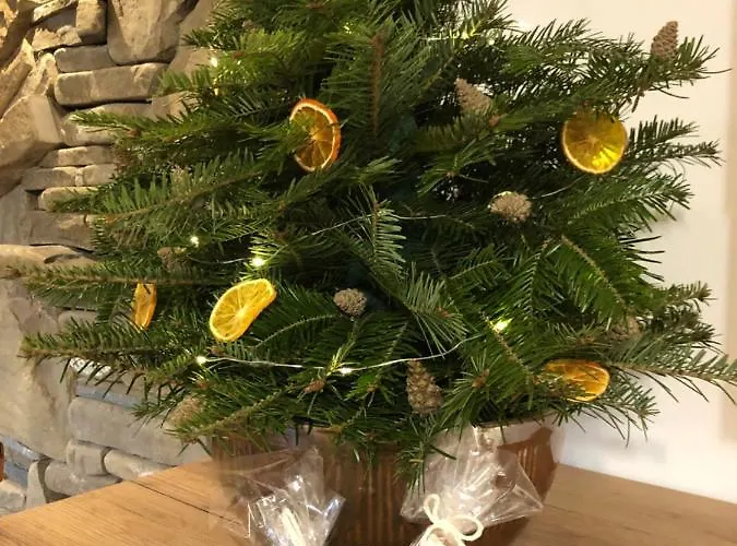 Szafran Z Widokiem Na Gory Lejlighed